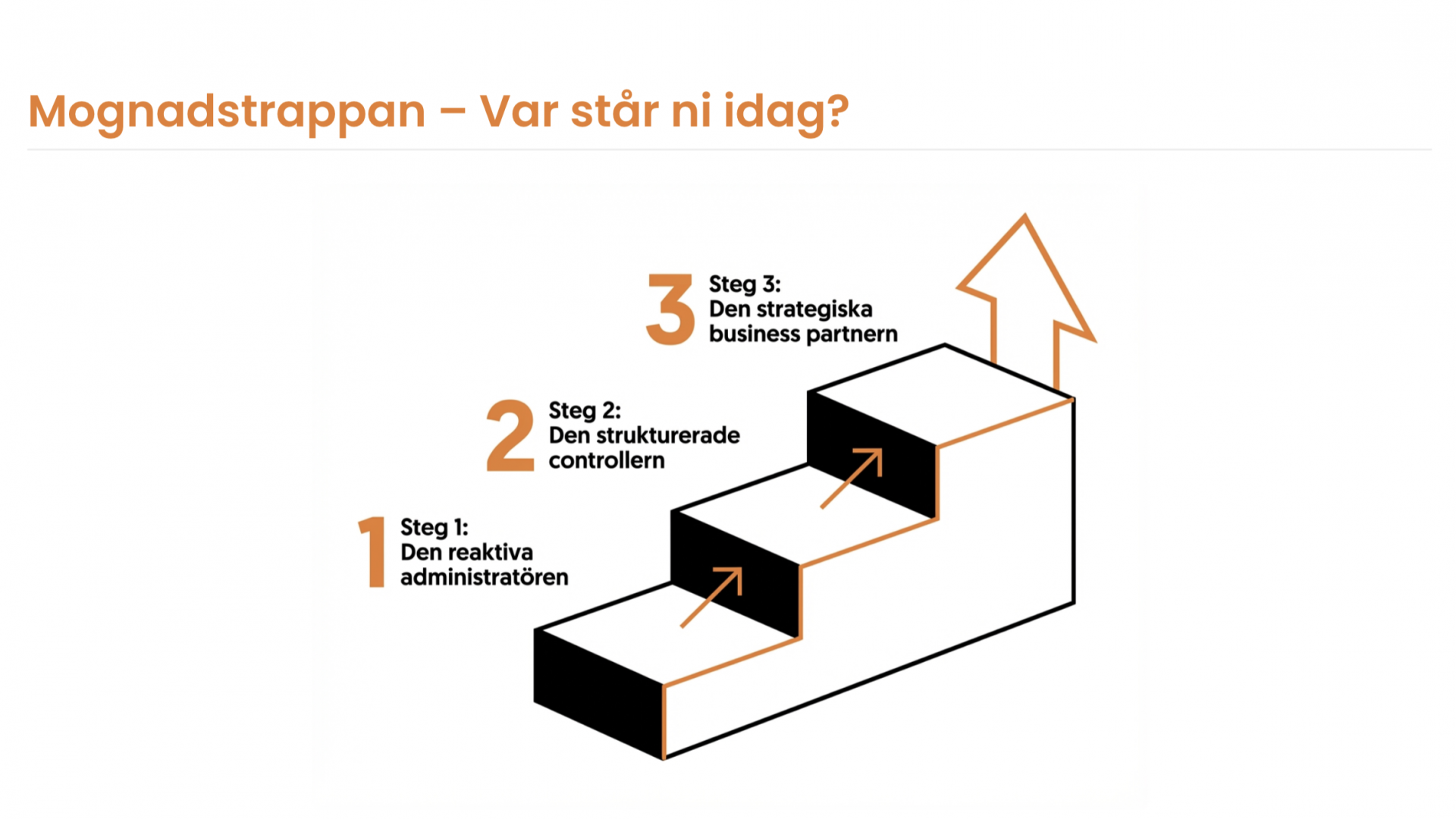 En bild på en mognadstrappa för en checklista för att se om du behöver en Payroll Business Partner i företaget.